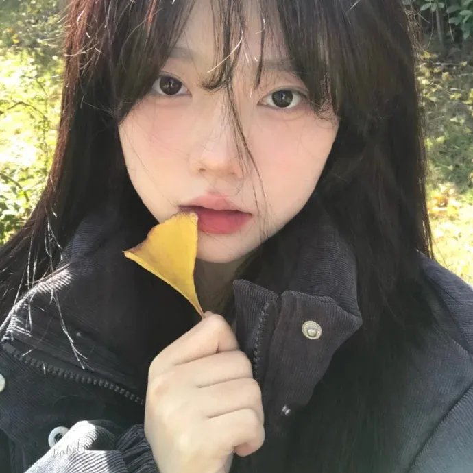 腌黄瓜先生第三季